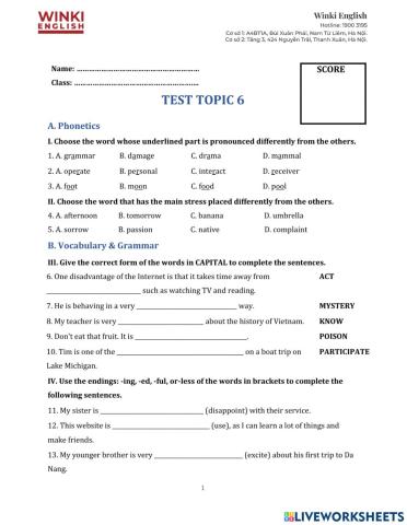 G10 - Test topic 6 - 3 Past tenses