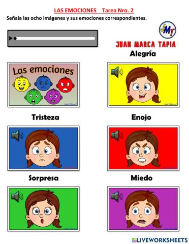 LAS EMOCIONES   Tarea Nro. 2