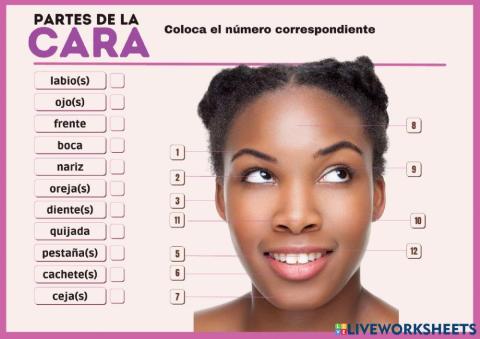 Partes de la cara