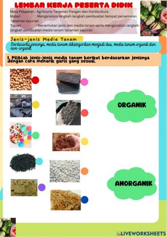 LKPD Pembuatan Persemaian Tanaman Sayuran