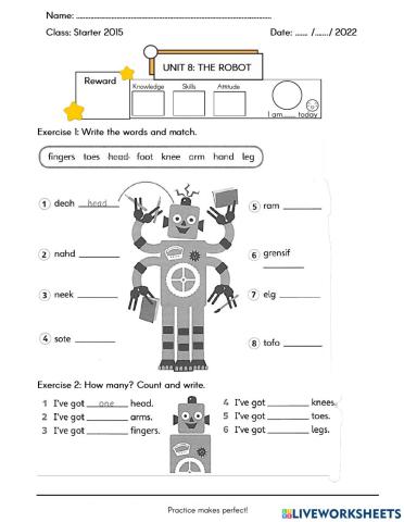 Unit 8.1 The Robot