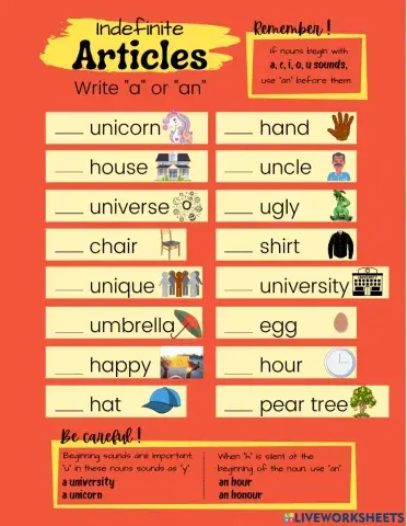 Indefinite Articles with exceptions