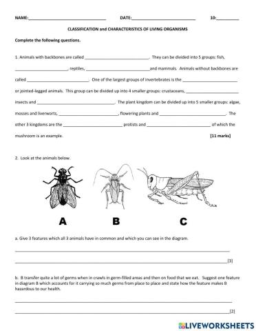 Classification Test 2022