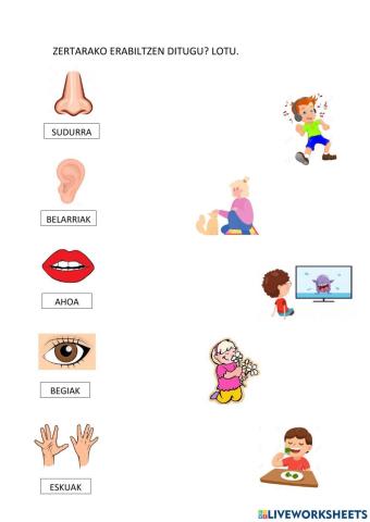 Zertarako erabiltzen ditugu?