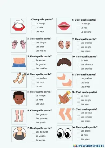 Les parties du corps