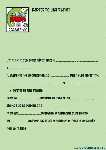 Partes de una planta