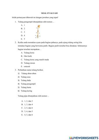 Soal Evaluasi Sistem Gerak Manusia