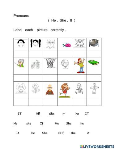 Pronouns ( He, She- It )