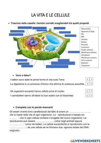 La vita e la cellula