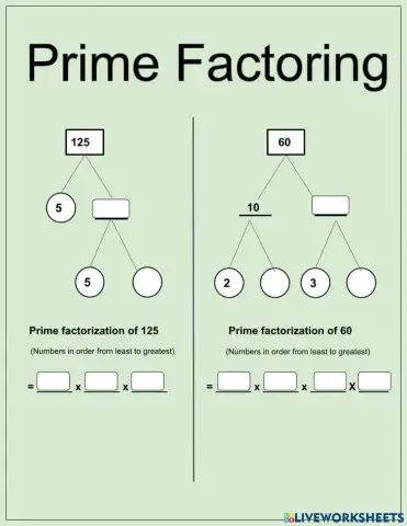 Prime factoring - 1