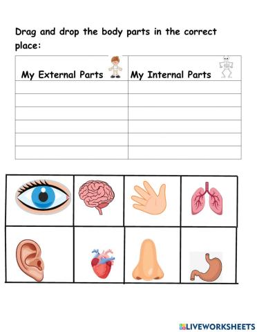 Internal and external parts