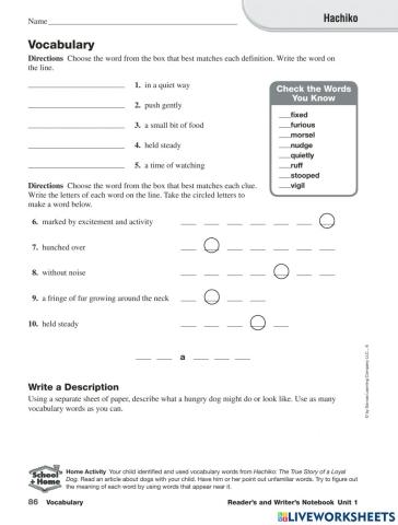 Hachiko Vocabulary