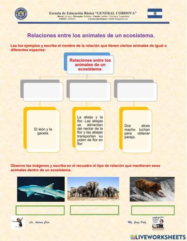 Relaciones entre animales en un ecosistema