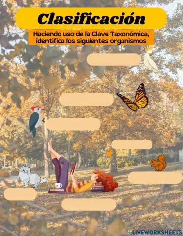 Clasificar organismos