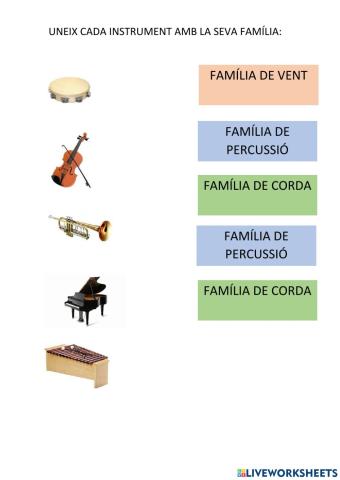 CLASSIFICACIÓ D'INSTRUMENTS P5