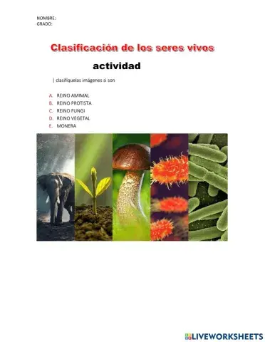 Clasificación de los seres vivos