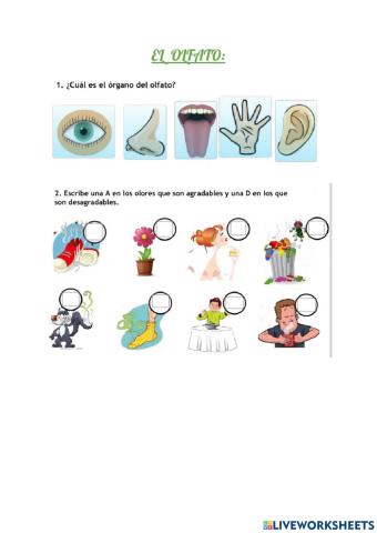 OLFATO