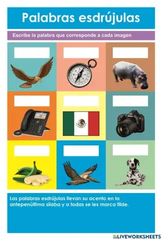 Palabras esdrújulas