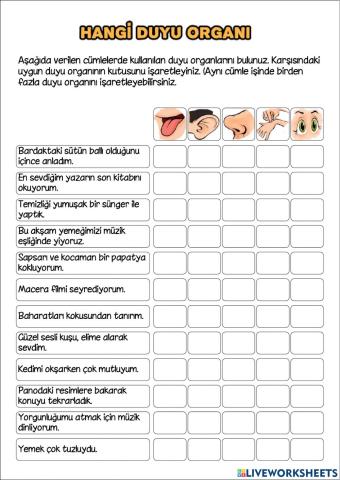 Hangi Duyu Organı