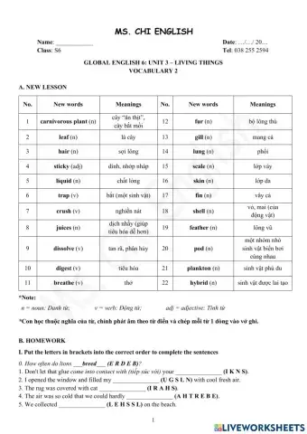 Foreign Teacher-S6-WEEK 9-U3-VOCAB 2
