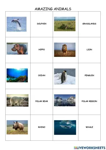 Endangered animals