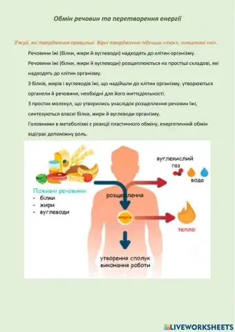 Обмін речовин і перетворення енергії