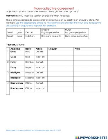 Noun adjective agreement