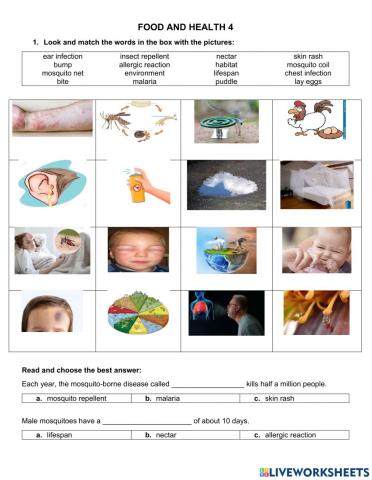 G5 u2 food and health 4