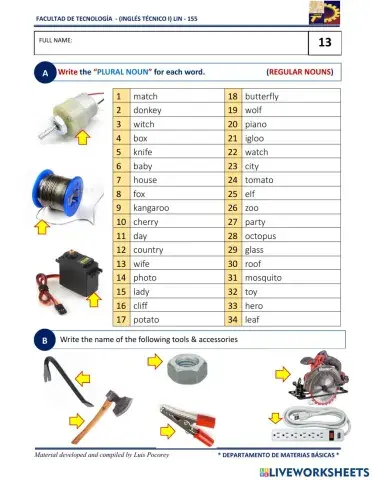 Plural-Regular nouns