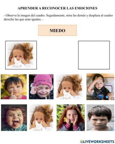 Reconocimiento de las expresiones faciales a partir de fotografías (miedo)