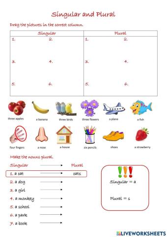 Singular and plural