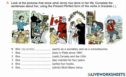 Basic Grammar-14 Present Perfect (2)