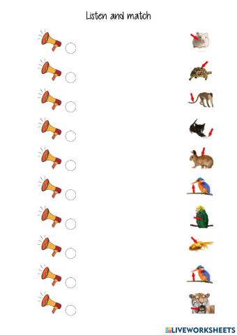 listen and match body parts tiger 3