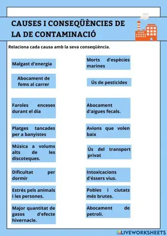 Causes i conseqüències de la contaminació adaptat