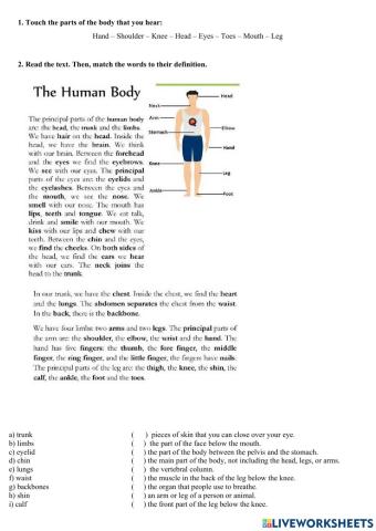 Body Parts