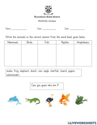 Classifictaion of animals