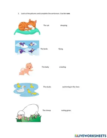 What are they doing?