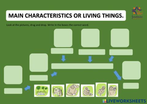 Main characteristics of living things