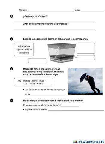 Control Unidad 1 Sociales