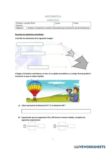 Trabajo Práctico de Homotecia