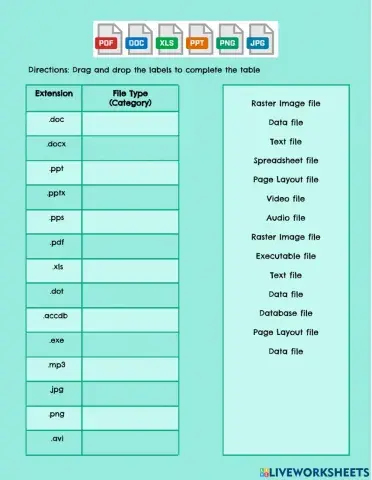 File Management Extensions