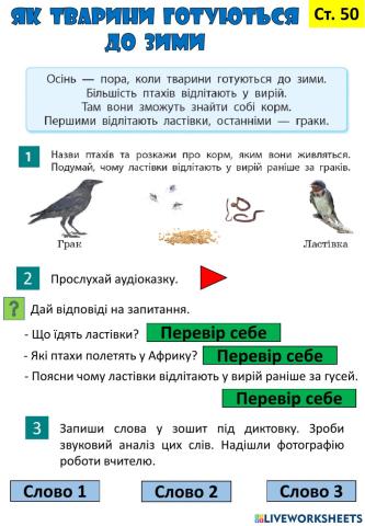 Як птахи готуються до зими