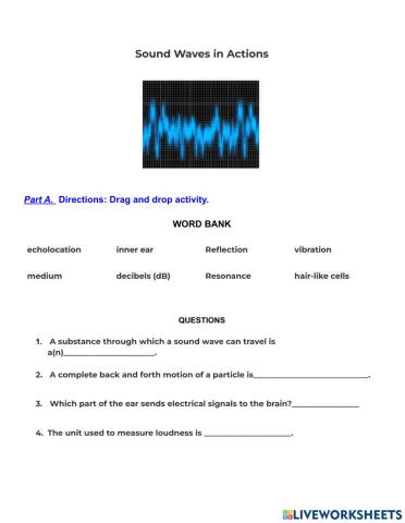 Sound Waves in Action