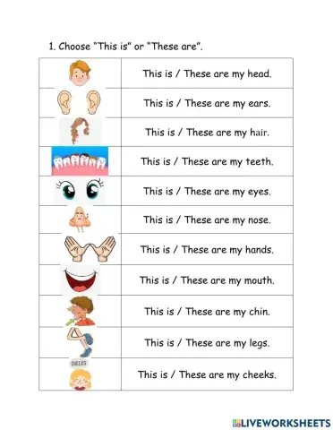 Body: This is - These are