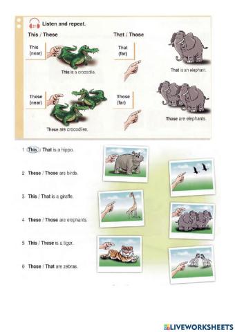 This, that, these, those