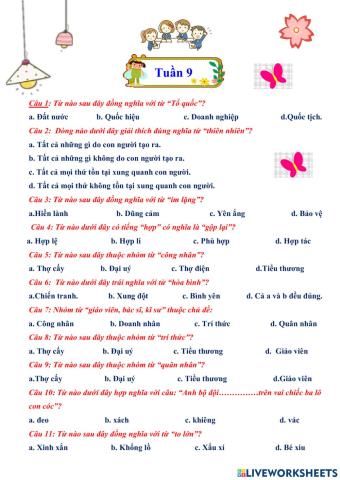 Luyện từ và câu tuần 9