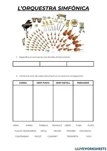 L'orquestra simfònica - instruments
