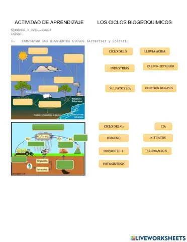 Ciclos biogeoquimicos