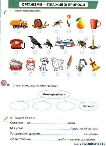 Організми, які тебе оточують.