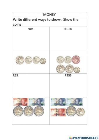 South african money